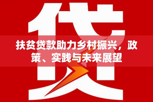 龙文扶贫贷款助力乡村振兴，政策、实践与未来展望