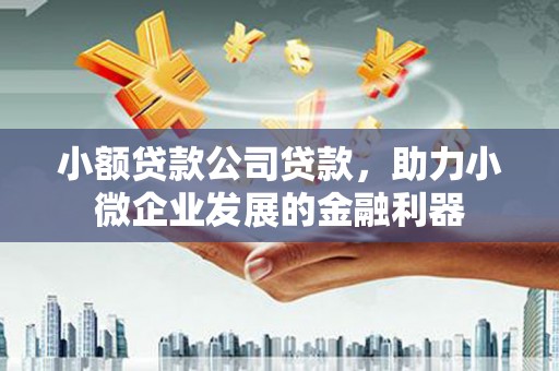 龙文小额贷款公司贷款，助力小微企业发展的金融利器
