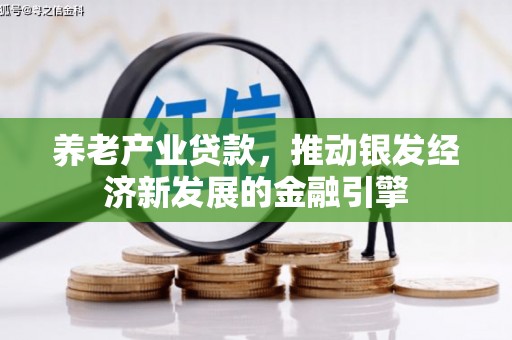 龙文养老产业贷款，推动银发经济新发展的金融引擎