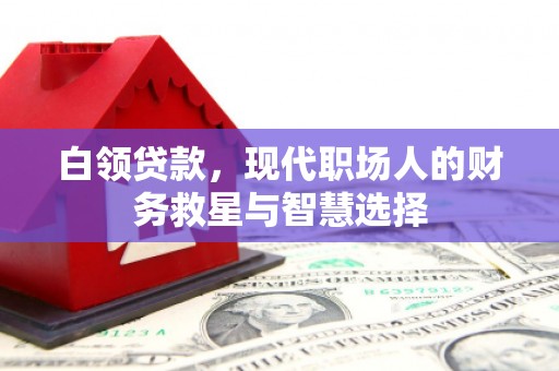 龙文白领贷款，现代职场人的财务救星与智慧选择
