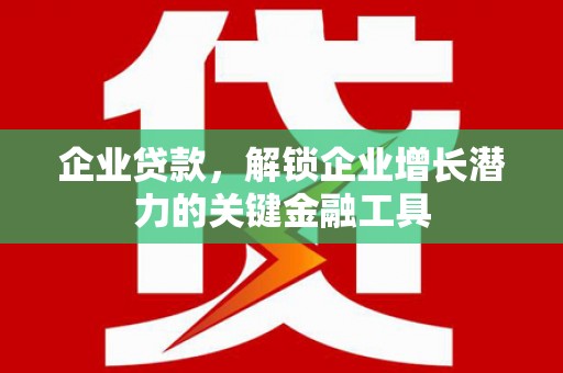 龙文企业贷款，解锁企业增长潜力的关键金融工具