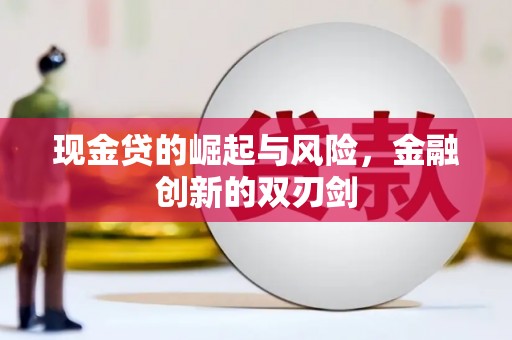 龙文现金贷的崛起与风险，金融创新的双刃剑
