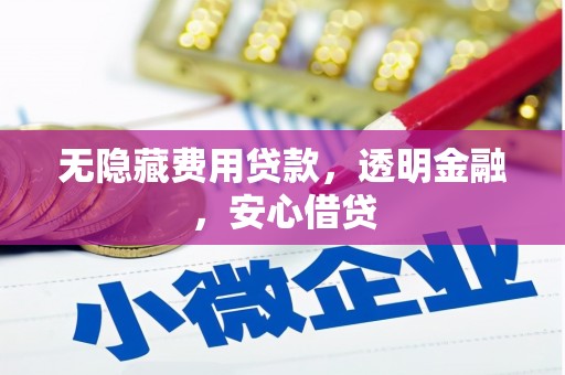 龙文无隐藏费用贷款，透明金融，安心借贷