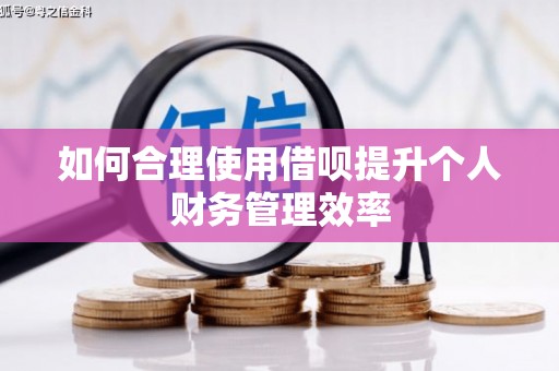 龙文如何合理使用借呗提升个人财务管理效率