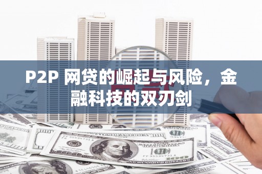 龙文P2P 网贷的崛起与风险，金融科技的双刃剑