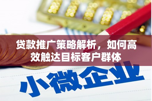 龙文贷款推广策略解析，如何高效触达目标客户群体