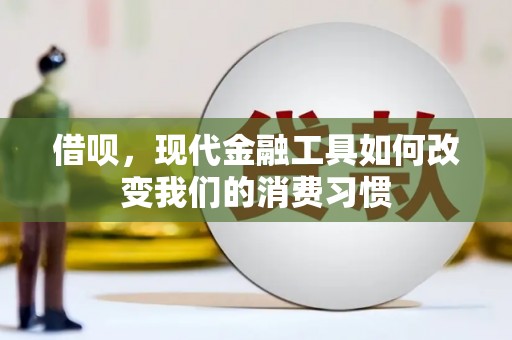 龙文借呗，现代金融工具如何改变我们的消费习惯
