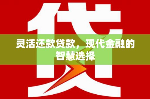 龙文灵活还款贷款，现代金融的智慧选择