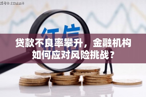 龙文贷款不良率攀升，金融机构如何应对风险挑战？