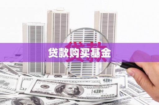 龙文贷款购买基金