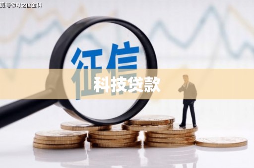 龙文科技贷款
