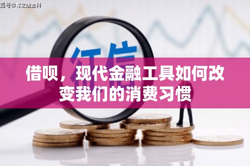 龙文借呗，现代金融工具如何改变我们的消费习惯