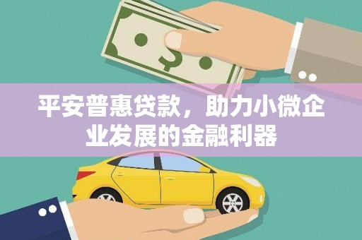 龙文平安普惠贷款，助力小微企业发展的金融利器
