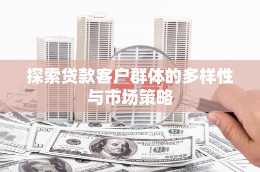 龙文探索贷款客户群体的多样性与市场策略