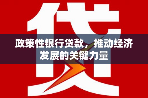 龙文政策性银行贷款，推动经济发展的关键力量
