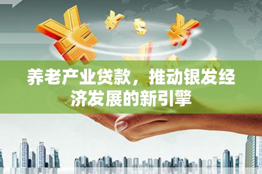 龙文养老产业贷款，推动银发经济发展的新引擎