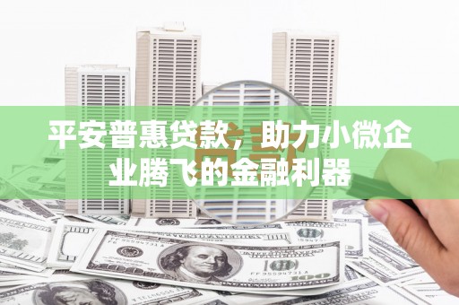 龙文平安普惠贷款，助力小微企业腾飞的金融利器