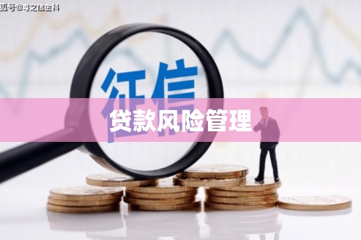龙文贷款风险管理