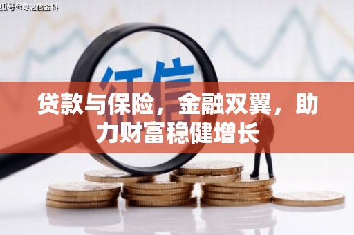 龙文贷款与保险，金融双翼，助力财富稳健增长