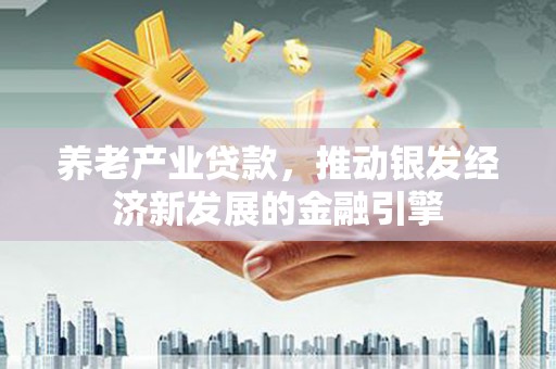 龙文养老产业贷款，推动银发经济新发展的金融引擎