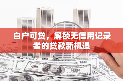 龙文白户可贷，解锁无信用记录者的贷款新机遇