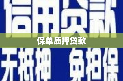 龙文保单质押贷款