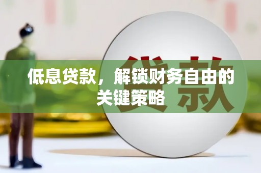 龙文低息贷款，解锁财务自由的关键策略