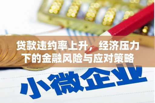 龙文贷款违约率上升，经济压力下的金融风险与应对策略