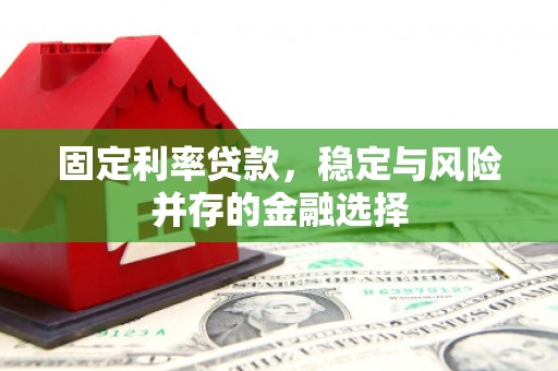 龙文固定利率贷款，稳定与风险并存的金融选择