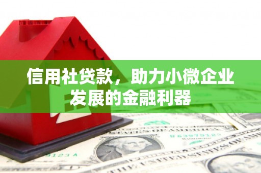 龙文信用社贷款，助力小微企业发展的金融利器