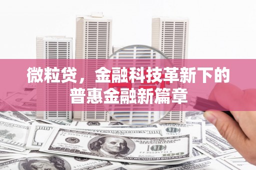 龙文微粒贷，金融科技革新下的普惠金融新篇章