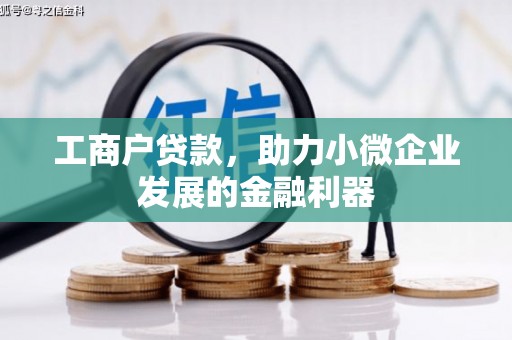 龙文工商户贷款，助力小微企业发展的金融利器