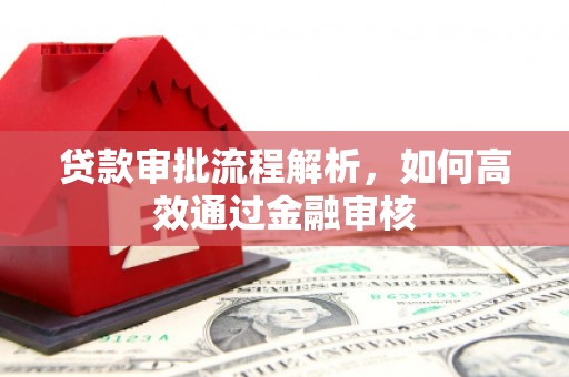 龙文贷款审批流程解析，如何高效通过金融审核