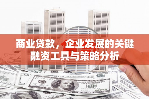 龙文商业贷款，企业发展的关键融资工具与策略分析