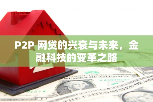 龙文P2P 网贷的兴衰与未来，金融科技的变革之路