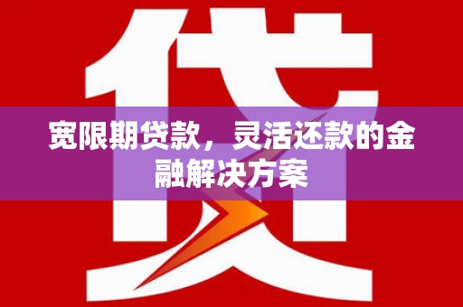 龙文宽限期贷款，灵活还款的金融解决方案