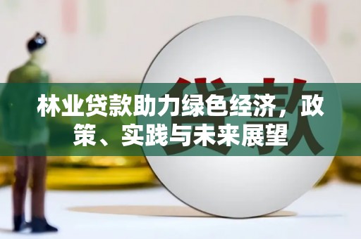 龙文林业贷款助力绿色经济，政策、实践与未来展望