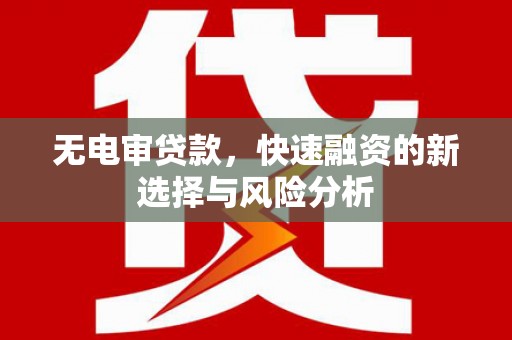 龙文无电审贷款，快速融资的新选择与风险分析