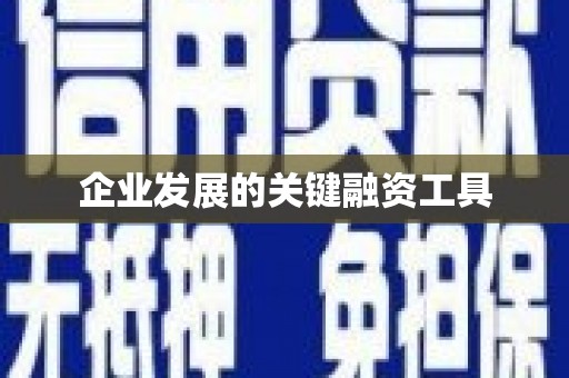 龙文企业发展的关键融资工具