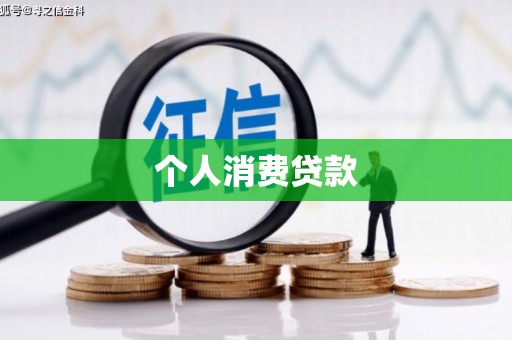 龙文个人消费贷款