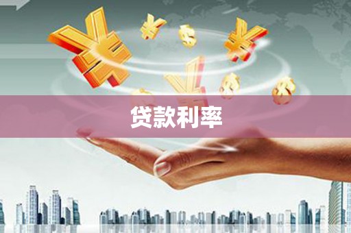龙文贷款利率