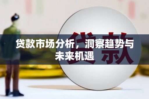 龙文贷款市场分析，洞察趋势与未来机遇