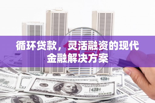 龙文循环贷款，灵活融资的现代金融解决方案