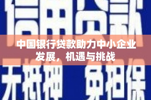 龙文中国银行贷款助力中小企业发展，机遇与挑战