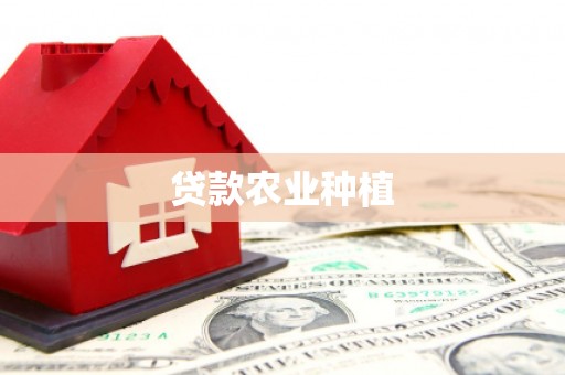 龙文贷款农业种植