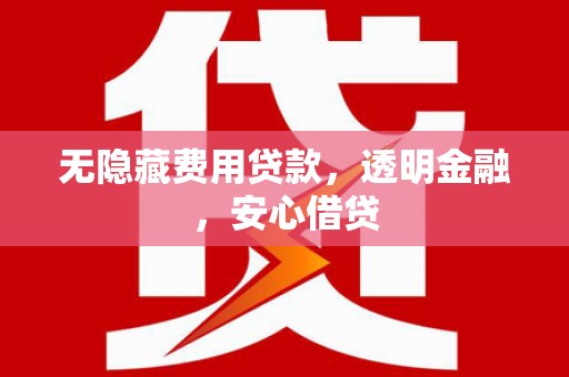龙文无隐藏费用贷款，透明金融，安心借贷