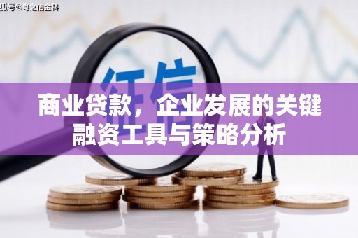 龙文商业贷款，企业发展的关键融资工具与策略分析