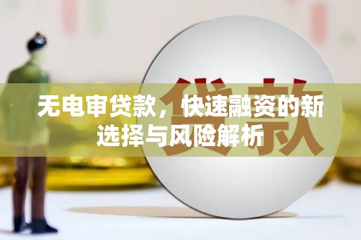 龙文无电审贷款，快速融资的新选择与风险解析