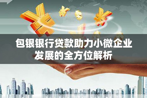 龙文包银银行贷款助力小微企业发展的全方位解析