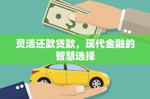 龙文灵活还款贷款，现代金融的智慧选择